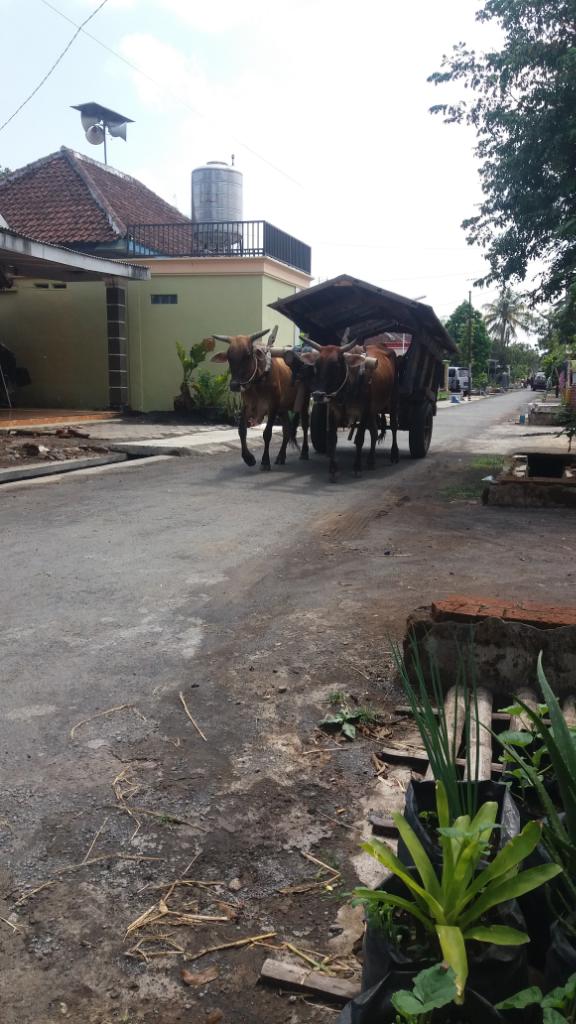 Rindu Lebaran Dan Sepoi Angin Desaku