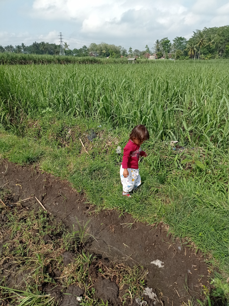 Rindu Lebaran Dirumah dan Tempat Favorit Kampung Halaman Yang Menenangkan