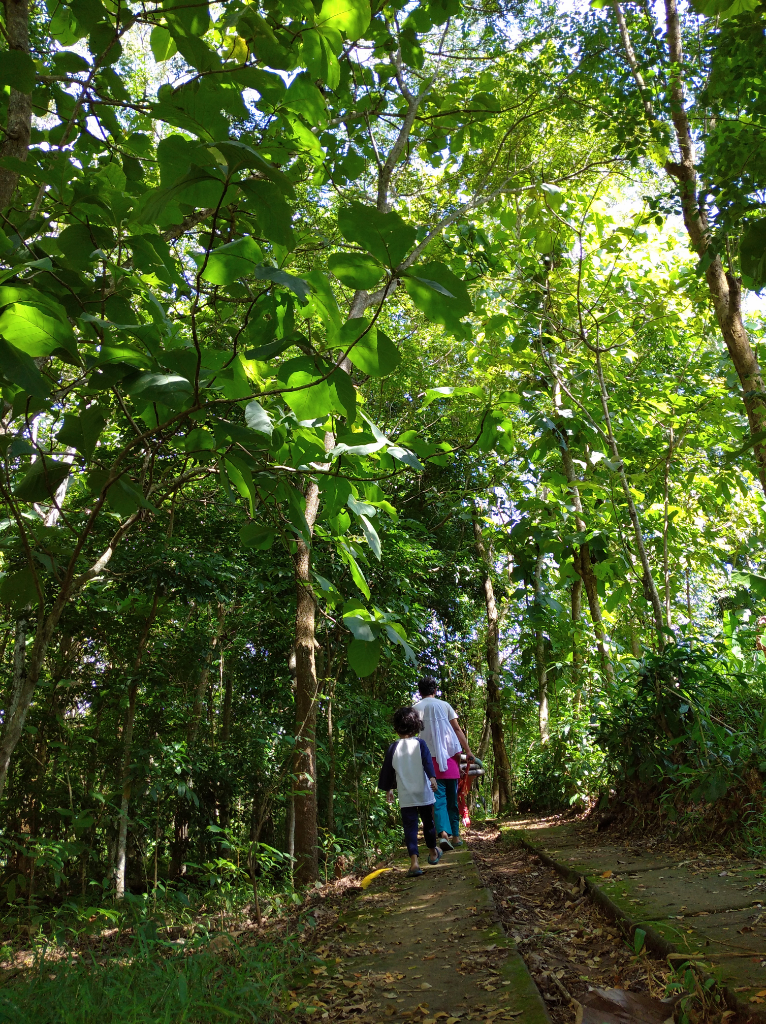Rindu Kampung Halaman yang Serupa Hutan