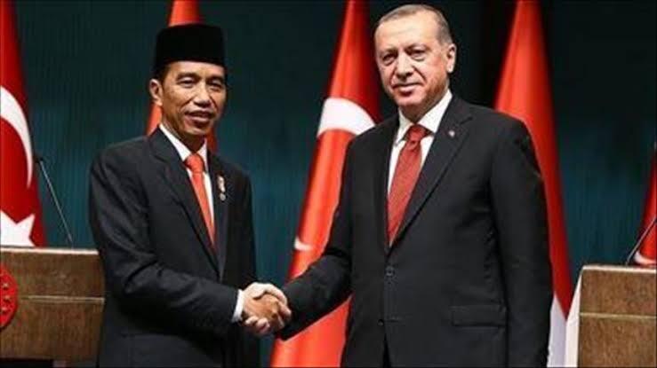 Soal Palestina, Sikap Jokowi Lebih Genuine Dibanding Erdogan