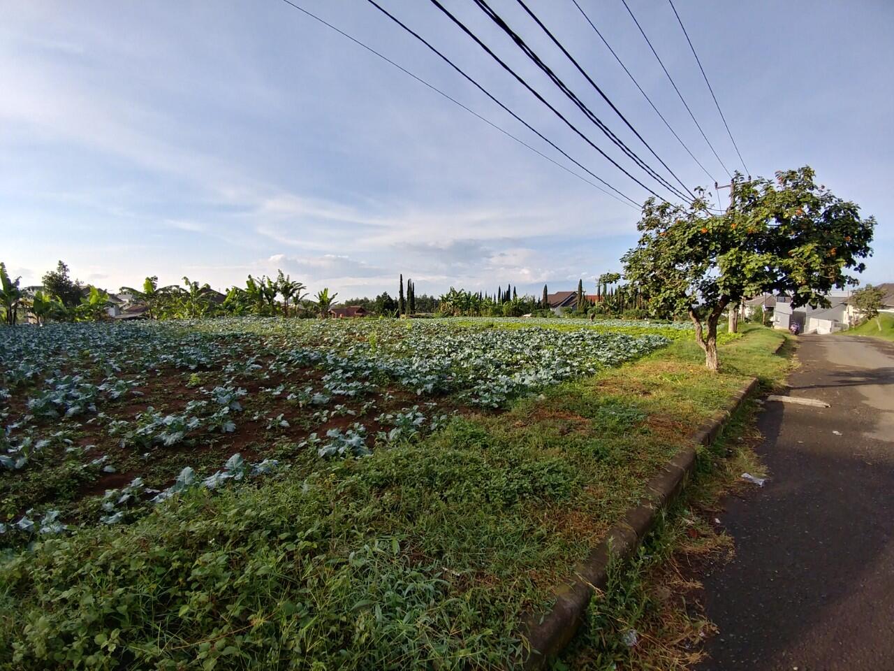 Rindu Pulang Kampung Dan Menikmati Secangkir Kopi Bersama Keluarga Di Desa
