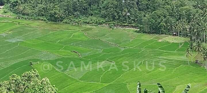 Keindahan Sejauh Mata Memandang, Kampung Halaman, Aku MeRindu!