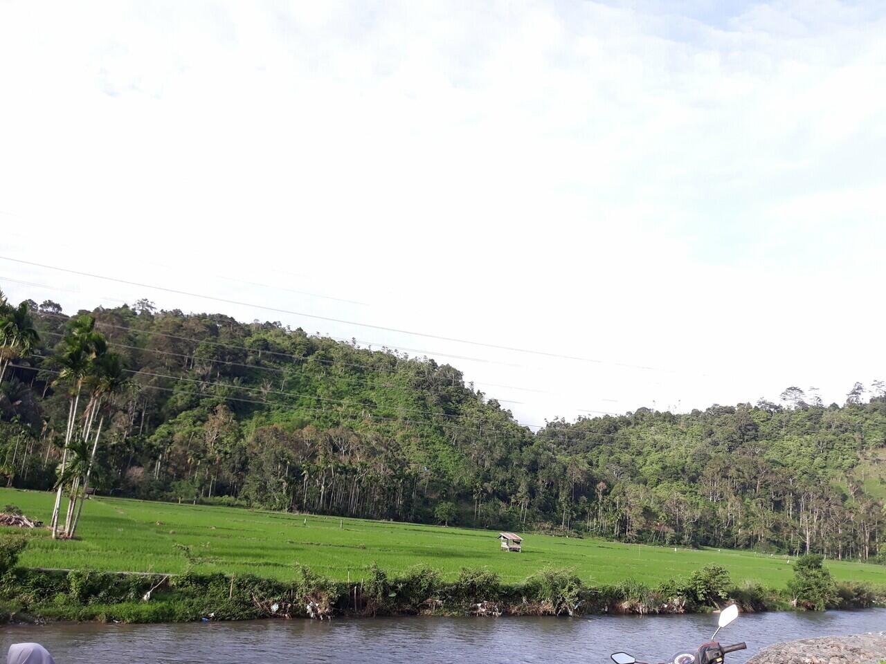 Tangse, Tempat Wisata Menenangkan Jiwa