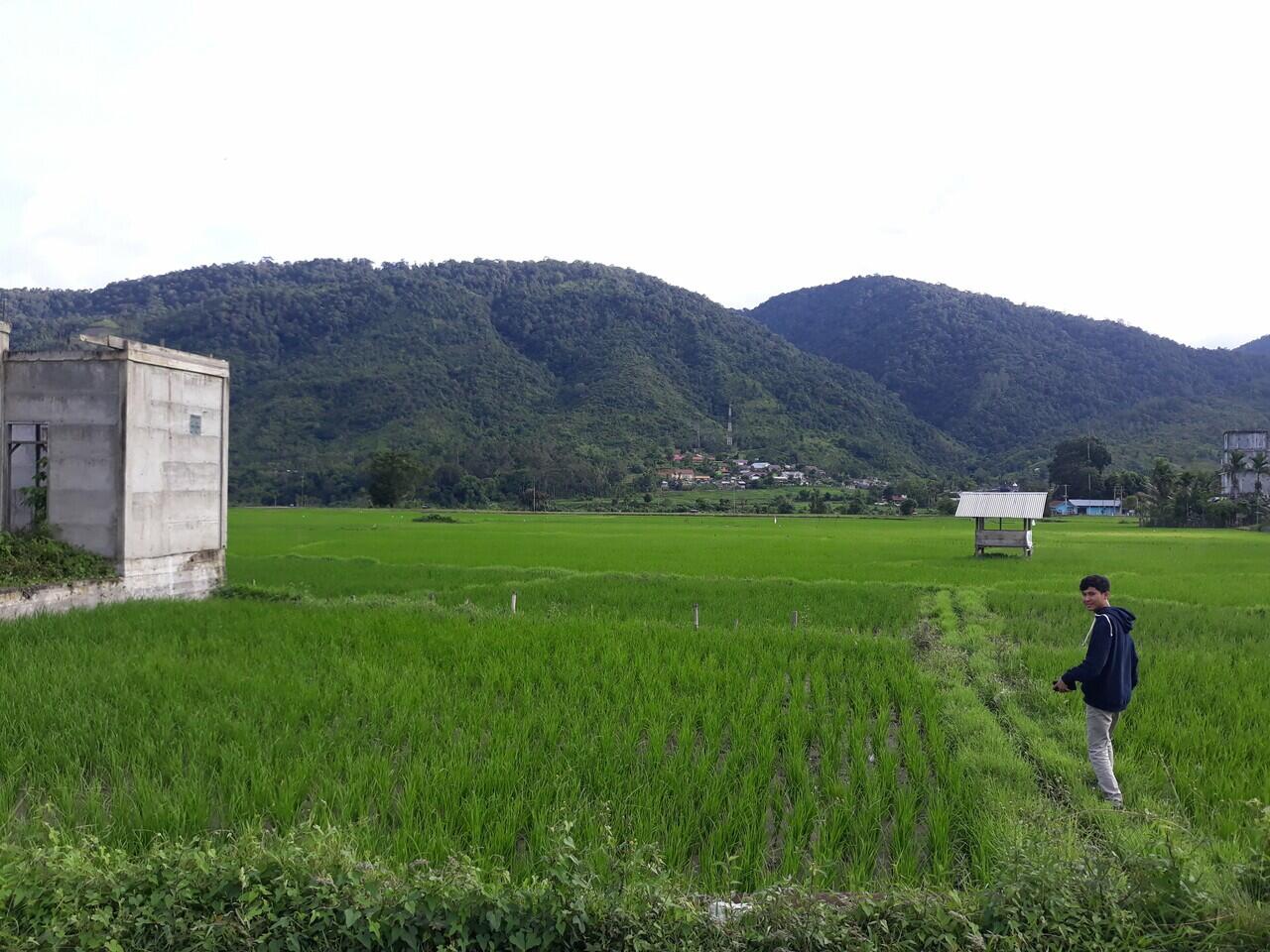 Tangse, Tempat Wisata Menenangkan Jiwa
