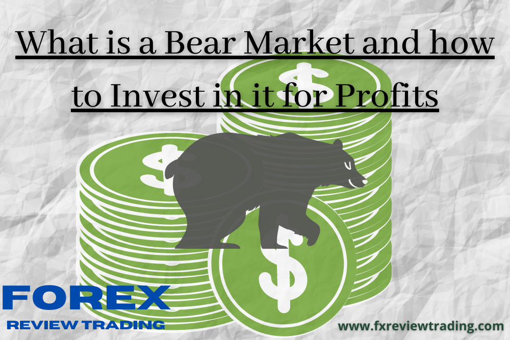 What Is A Bear Market And How To Invest In It For Profits | KASKUS