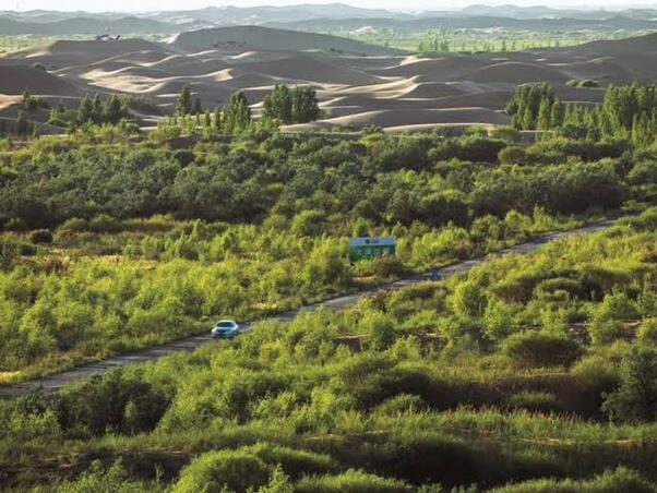 SAIHANBA NATIONAL PARK, GURUN GERSANG YANG SEKARANG JADI SUPER HIJAU