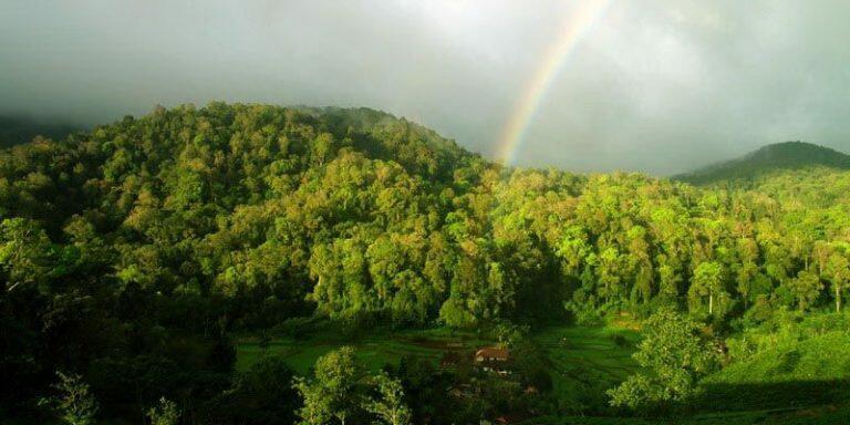 Indahnya Pesona Desa Wisata Malasari Bogor
