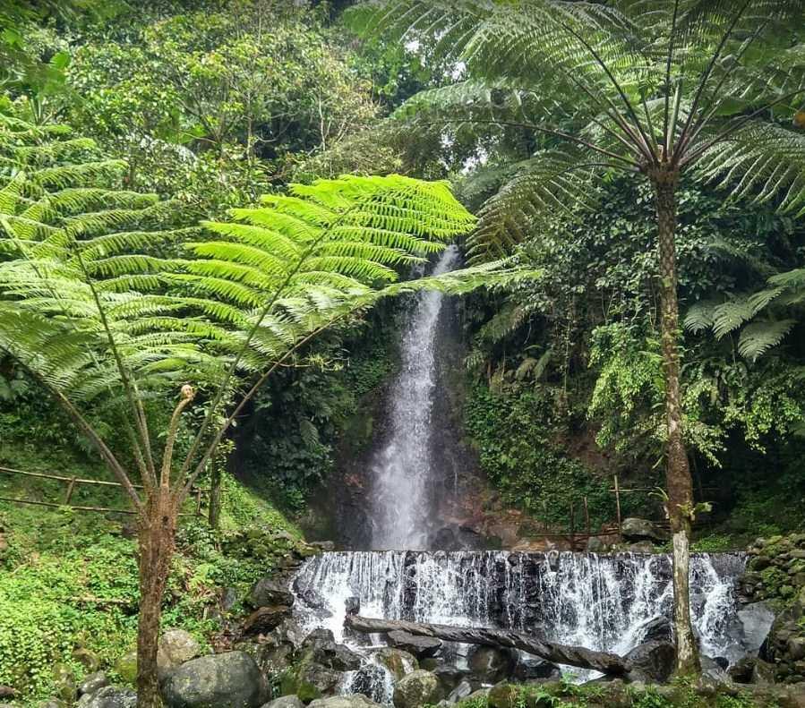 Yuk Nikmati Indahnya Curug Ngumpet, Pamijahan, Airnya Halus Bak Embun Beterbangan!