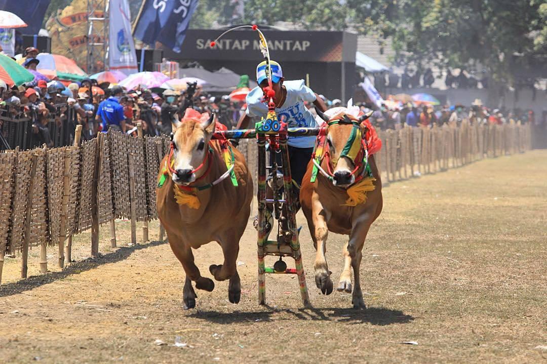 Madura Dan Sedikit Historinya