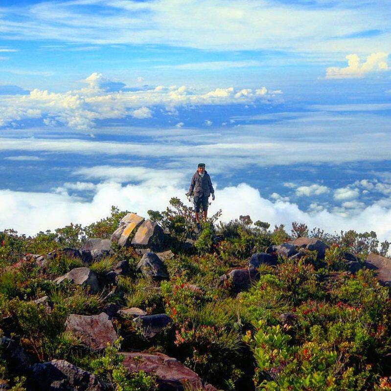 Perjuangan Mendaki Gunung Talamau, Puncak Tertinggi Sumatera Barat