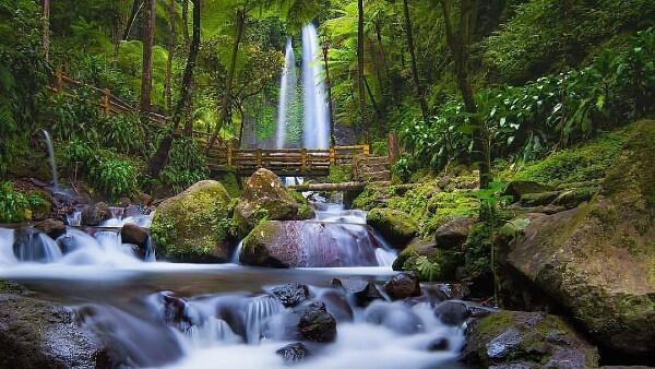 Back to Nature, 3 Lokasi Wisata Penghilang Kejenuhan karena Pandemic di Solo