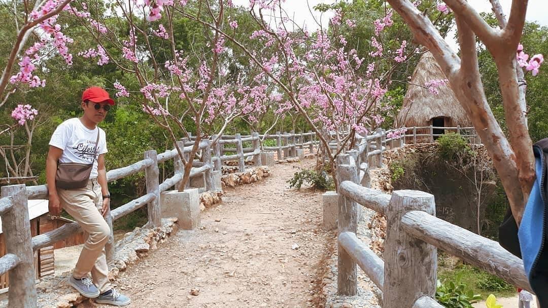 Wisata Instagenic Kampoeng Wisata Toron Samalem