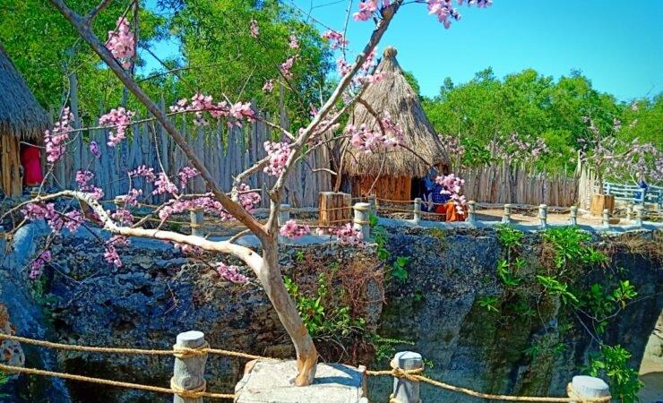 Wisata Instagenic Kampoeng Wisata Toron Samalem