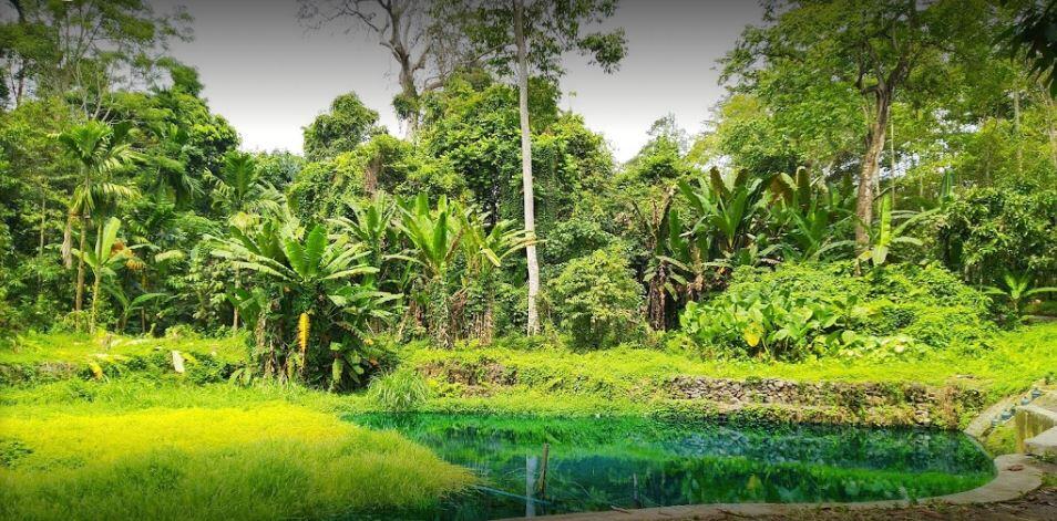 Mata Air Way Sumpuk, Wisata Underwater Fotogenik di Lampung