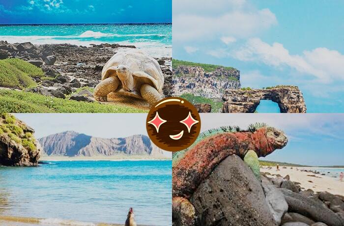 LENGKUNGAN IKONIK DI GALAPAGOS JADI PERBINCANGAN