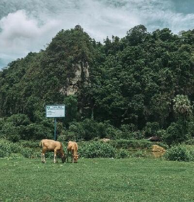 The Kingdom of Butterfly Hingga Air Terjun Bantimurung, Kepingan Surga dari Makassar