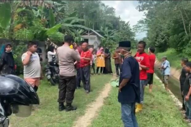 Konawe Gempar, Penjaga Rumah Tewas Terlilit Tali dan Terseret Sapi
