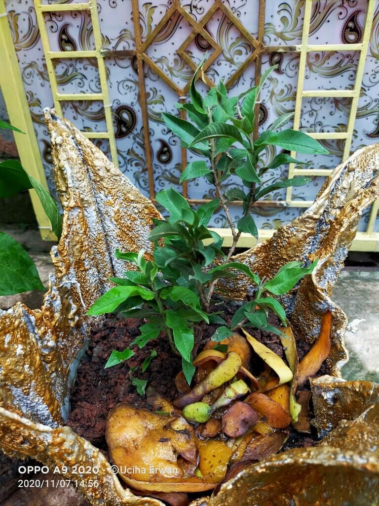 Dari Barang Bekas,Jadi Barang Berkelas