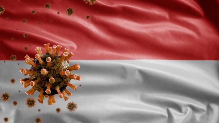 Indonesia Ternyata Juga Punya Corona 'Varian Lokal', B14662 dan B1470