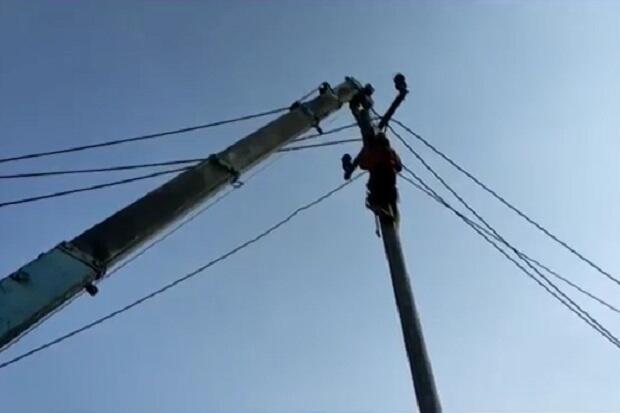 Video Viral di Medsos, Sejumlah Tiang Listrik di Blora Roboh di Tengah Sawah