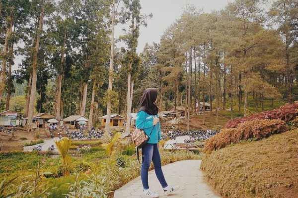 Tempat Wisata Batu Raden Adventure Forest