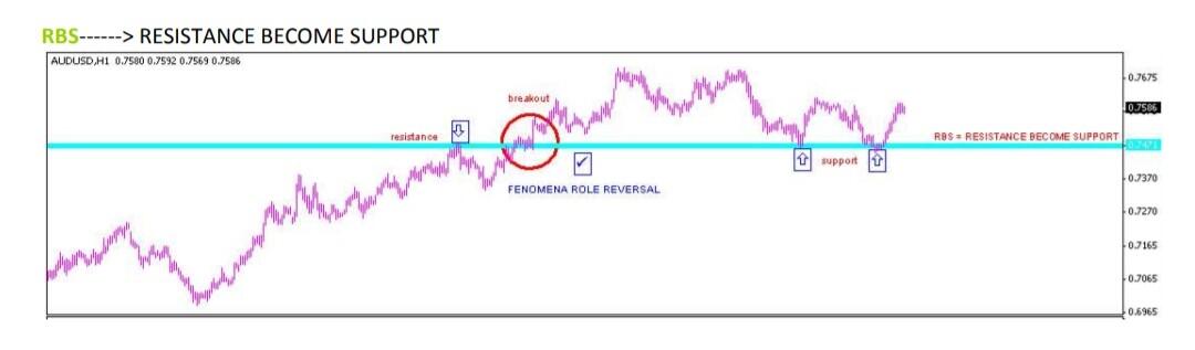 Belajar Naked Trading dengan CSR100, Teknik Simple yang Profitable!