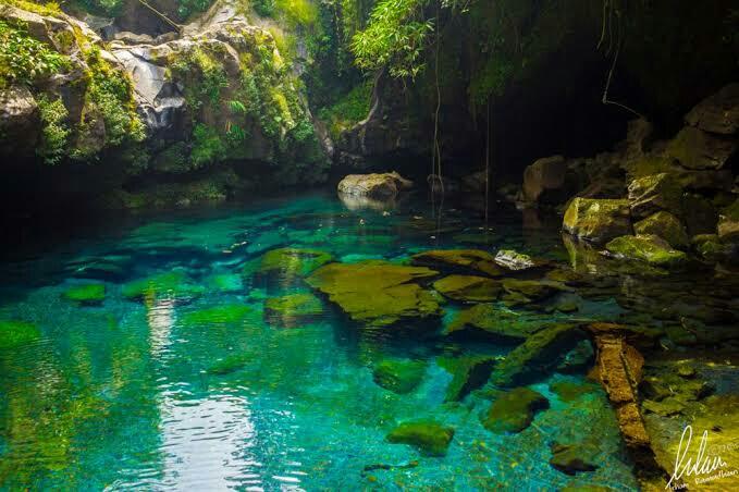 Telaga Sunyi, Surga Tersembunyi Dibalik Hutan Pinus Dan Pohon Damar