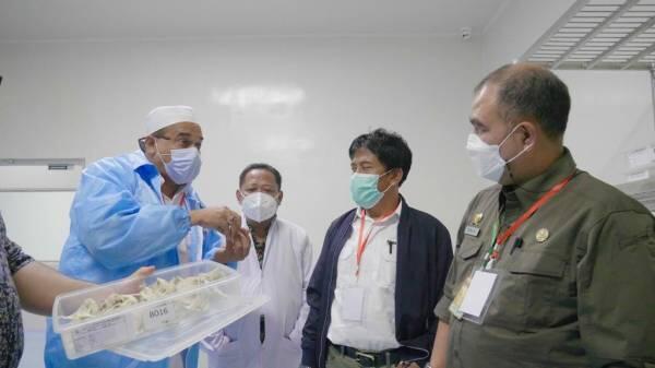 Kementan Akan Lakukan Terobosan untuk Peningkatan Ekspor SBW