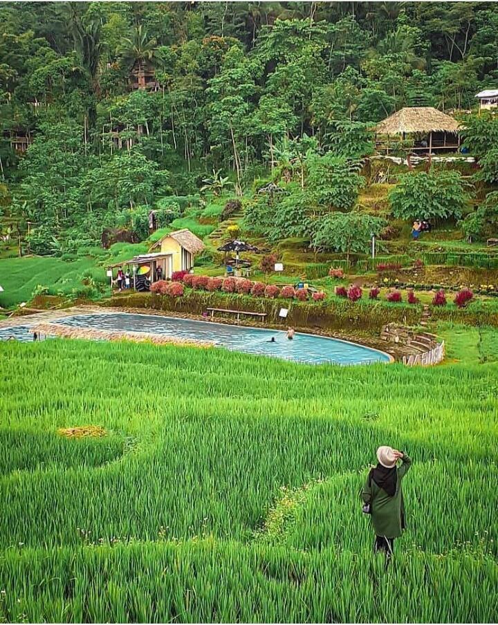 Menyusuri Panorama Wisata Pagubugan Melung Banyumas yang Memanjakan Mata