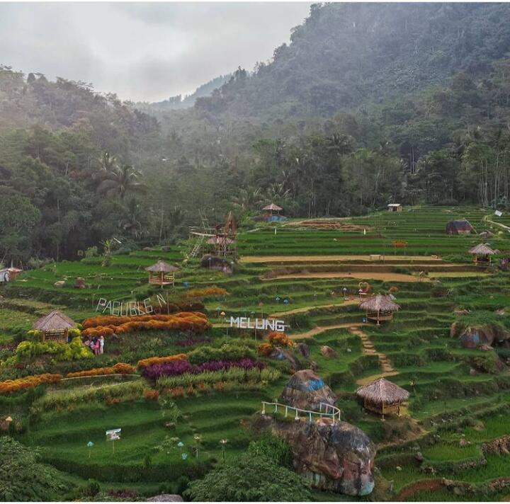 Menyusuri Panorama Wisata Pagubugan Melung Banyumas yang Memanjakan Mata