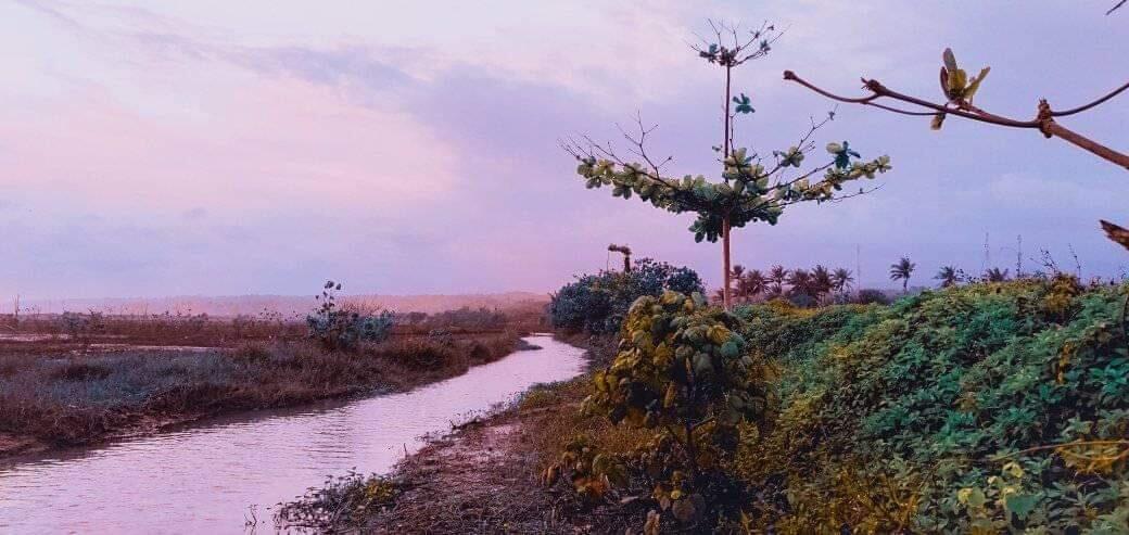 Pantai Cemara Cidaun, Primadona Destinasi Wisata Baru Di Cianjur Selatan