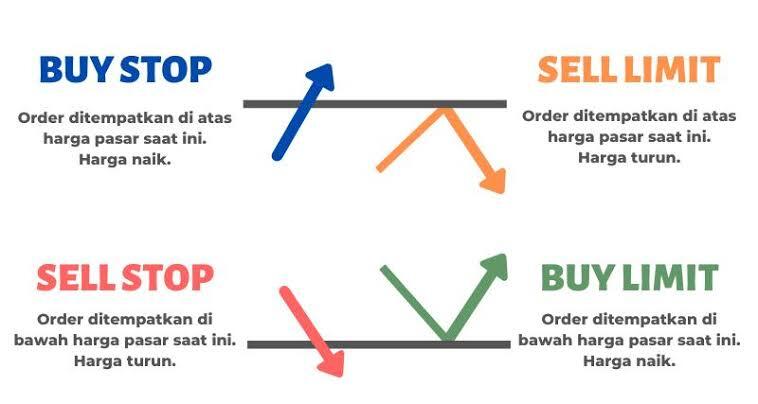 Strategi trading Fokus Lot, untuk pemula agar tidak cepat rugi besar