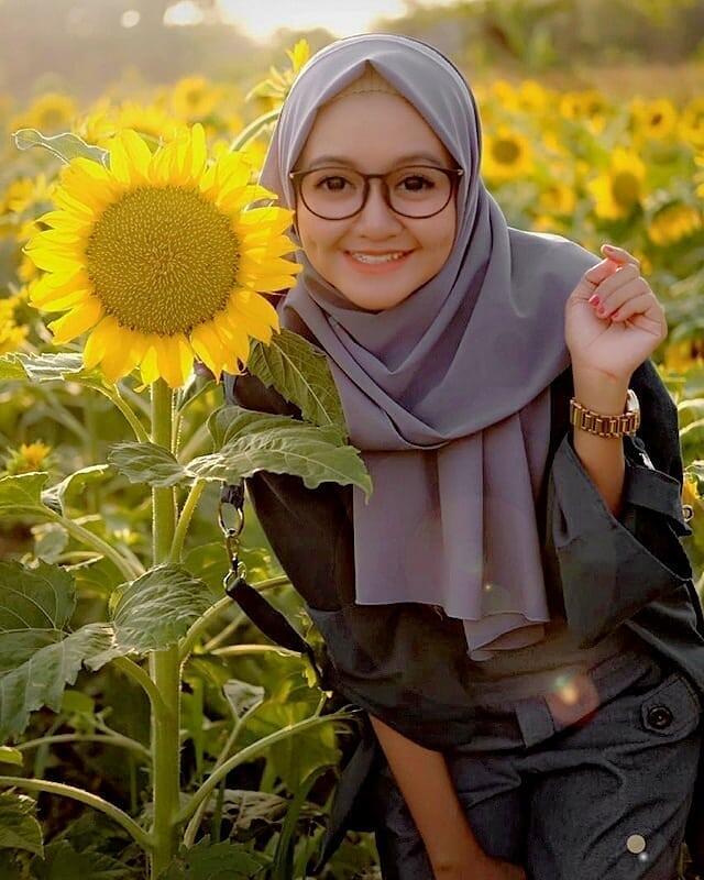 Wisata ke Kebun Bunga Matahari Gratiss 