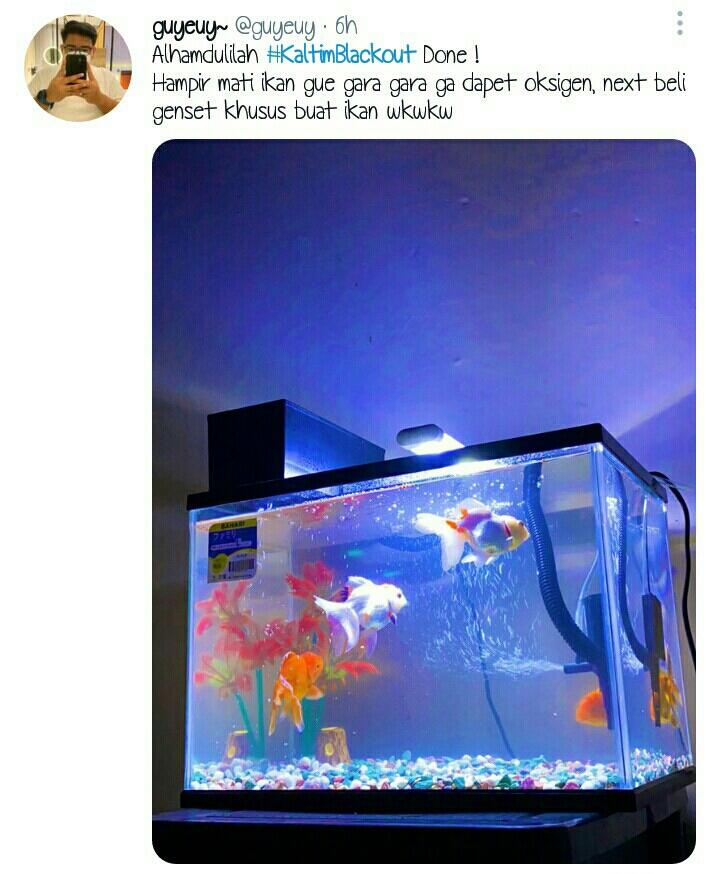 Listrik di Hampir Seluruh Wilayah Kaltim Padam, Tagar #KaltimBlackout Trending