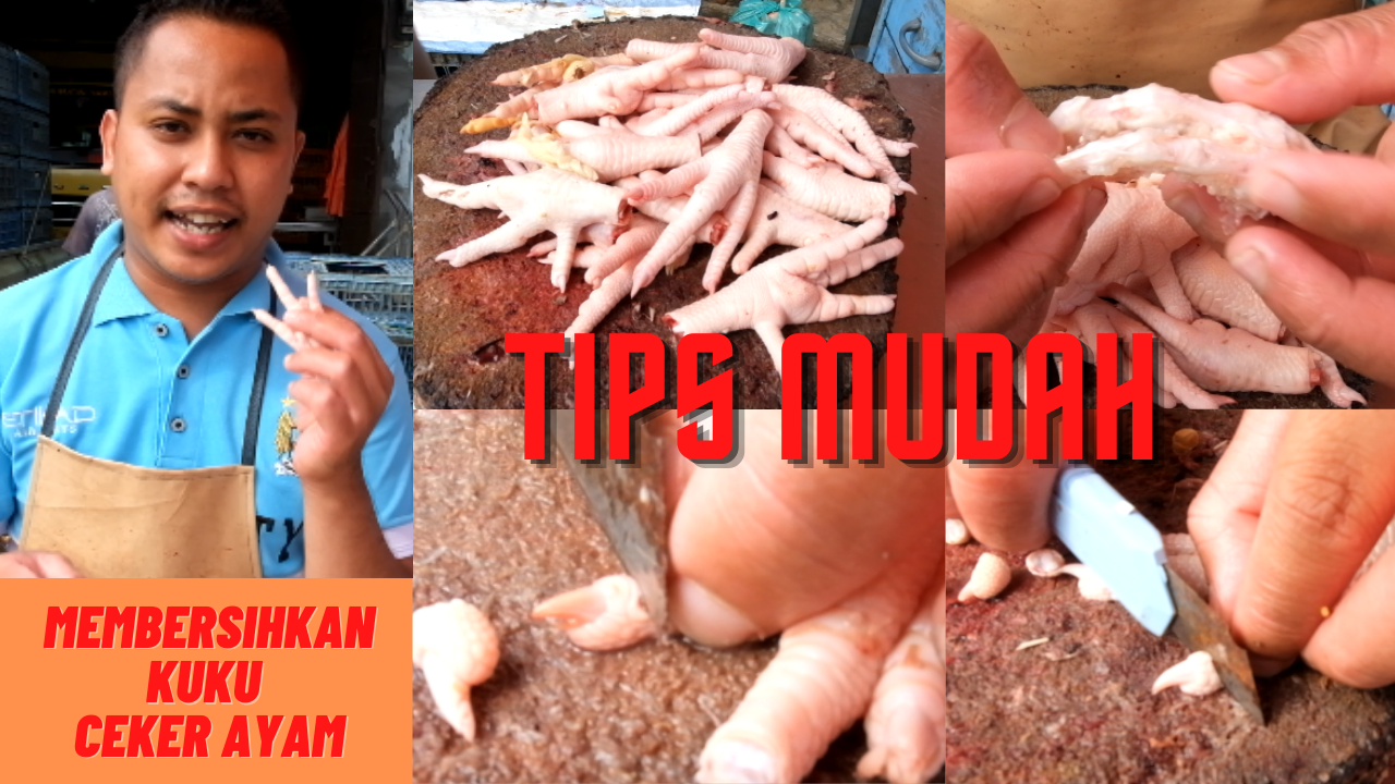 TIPS MUDAH MEMBERSIHKAN KUKU PADA CEKER AYAM