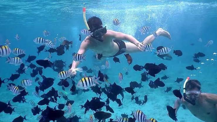 Menengok Keindahan Pulau Rubiah Sabang Aceh, Destinasi Wisata yang Menakjubkan