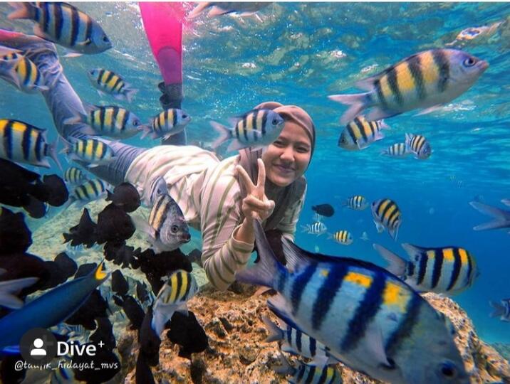 Menengok Keindahan Pulau Rubiah Sabang Aceh, Destinasi Wisata yang Menakjubkan