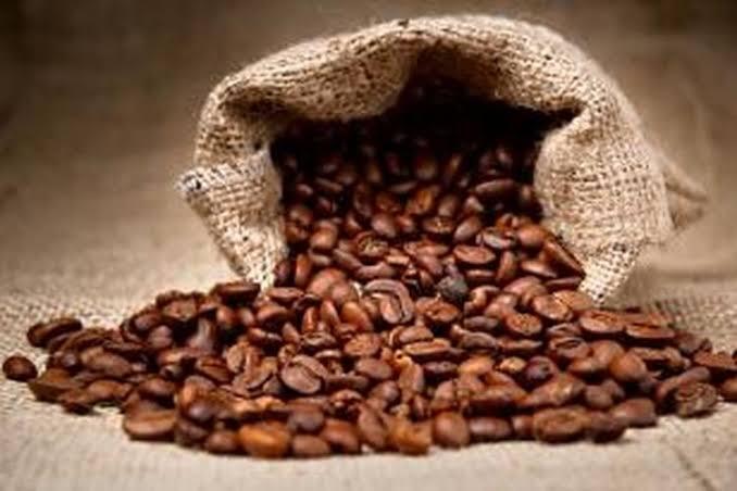 Kopi Gayo Aceh, Kopi Arabika Terbaik yang Kualitasnya Diakui Dunia