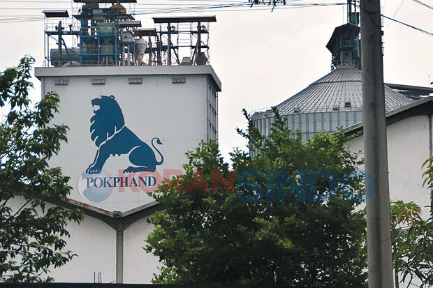 Emiten 'Asal' Thailand Ini Tangguk Untung Rp3,84 Triliun