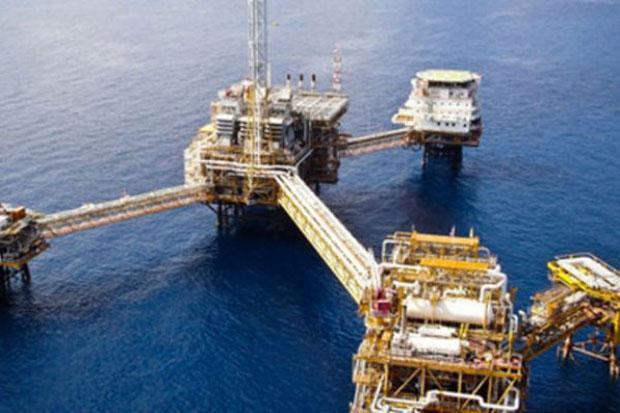 Kalah Agresif dari Brasil, RI Dinilai Masih 'Pelit' Insentif