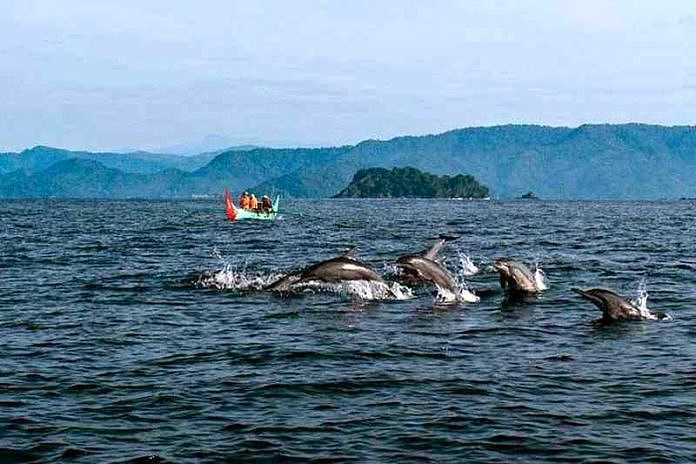 Explore Keindahan Pulau Pisang, Hidden Gem Di Pesisir Barat Kota Lampung!