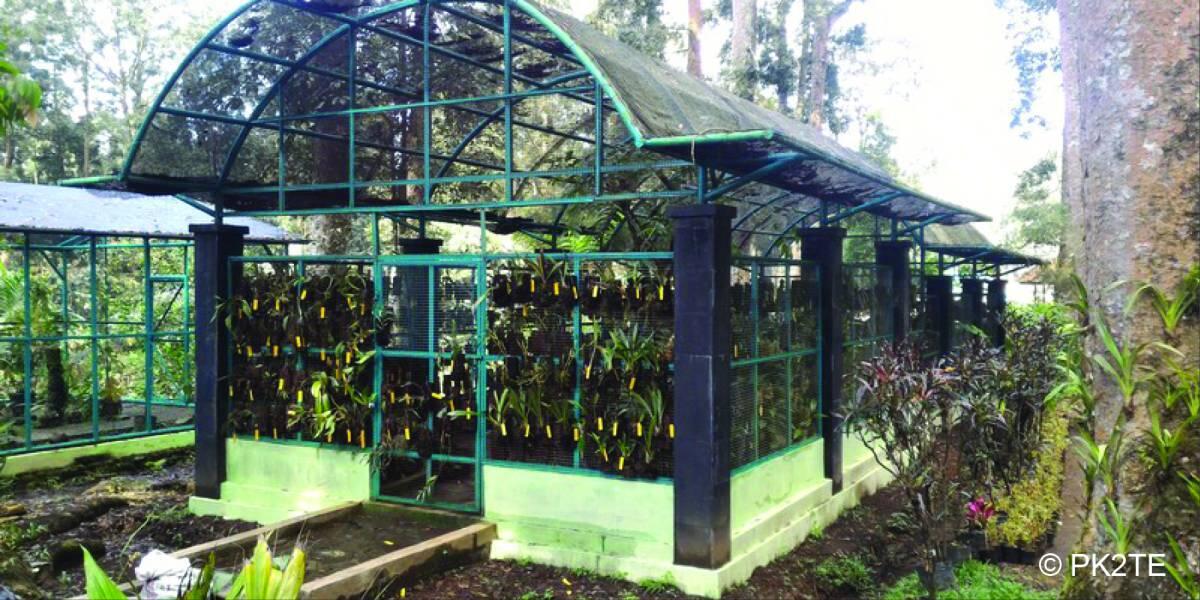 Kebun Raya Baturraden di Banyumas! Kebun Raya Pertama di Provinsi Jawa Tengah!