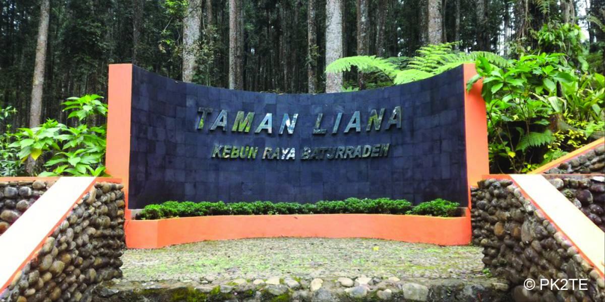 Kebun Raya Baturraden di Banyumas! Kebun Raya Pertama di Provinsi Jawa Tengah!