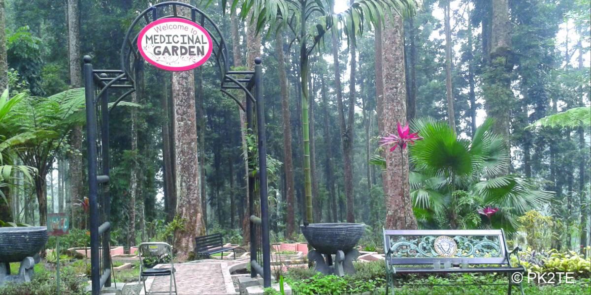Kebun Raya Baturraden di Banyumas! Kebun Raya Pertama di Provinsi Jawa Tengah!