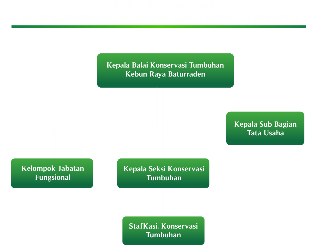 Kebun Raya Baturraden di Banyumas! Kebun Raya Pertama di Provinsi Jawa Tengah!