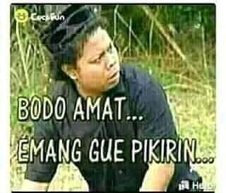 Meme-Meme Lucu, Penghilang Stres di Dinding Media Sosial