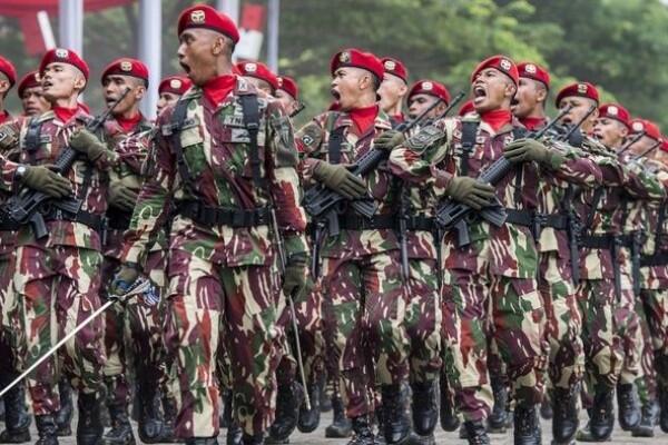 Minggu Neraka! Latihan di Luar Batas Manusia yang dijalani Pasukan Kopassus