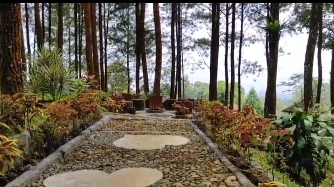 Bidadaripun Betah Ngadem di Taman Ini