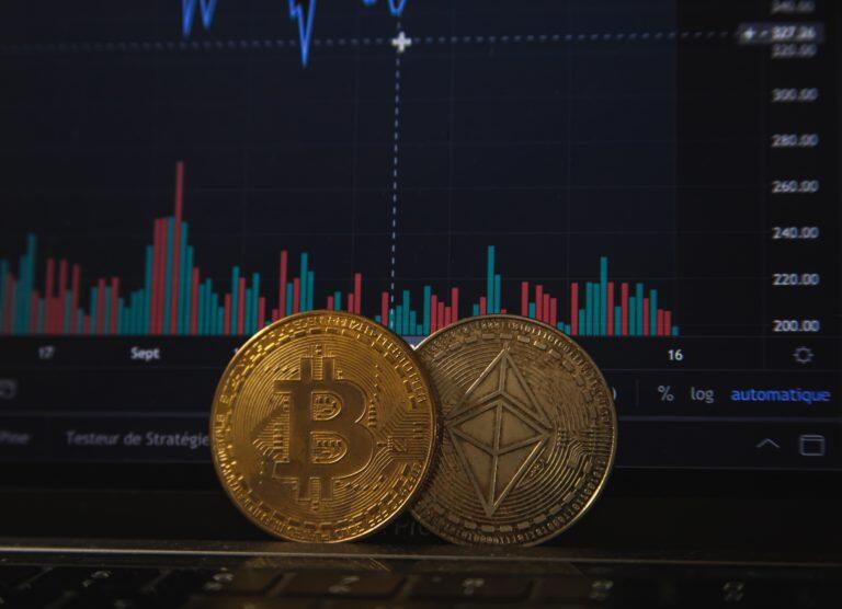 Masih Belum Bisa Dapat Profit Yang Bagus Ane