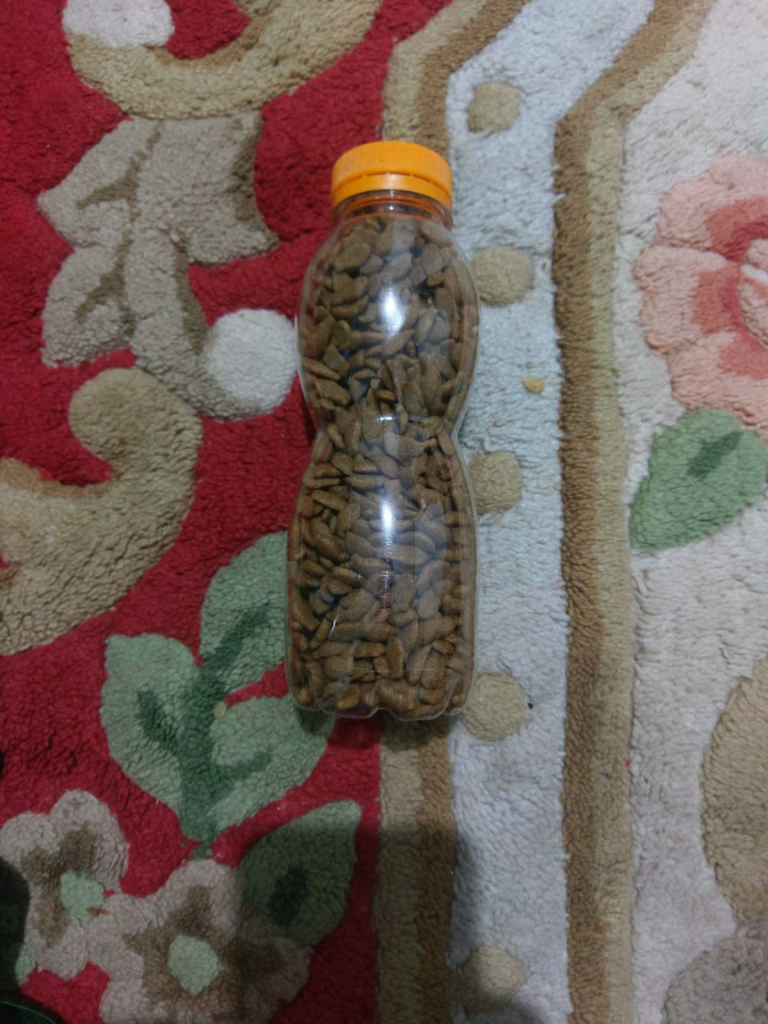 Bersedekah Pada Binatang, Kenapa Enggak?